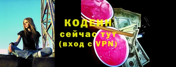 индика Бугульма