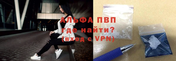индика Бугульма
