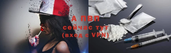 индика Бугульма