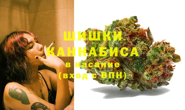 а пвп мука Бородино