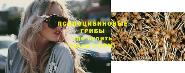 индика Бугульма