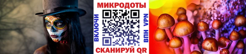 Галлюциногенные грибы мухоморы  Энгельс 